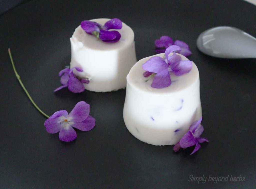 Image of Violet Panna Cotta, illustrating the unique texture of Violeta Dessert in GTA 6
